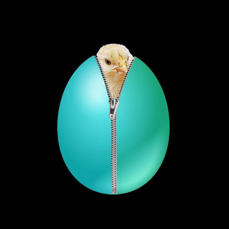 Chick zipper Easter egg gift