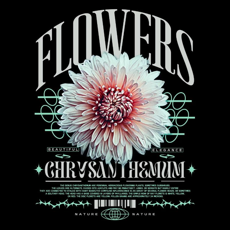 Chrysanthemum Chrysanthemums