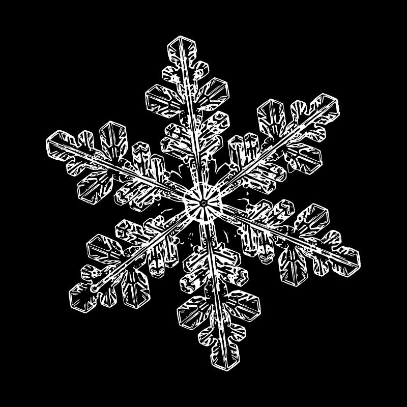 snowflake 6 white
