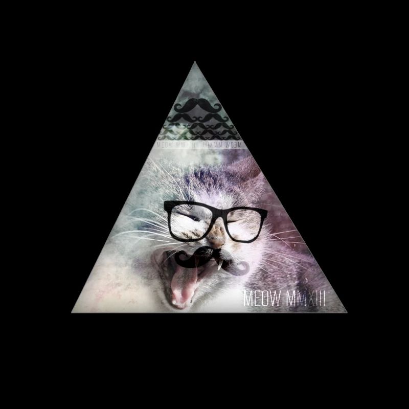 Triangle Monster Moustache Cat