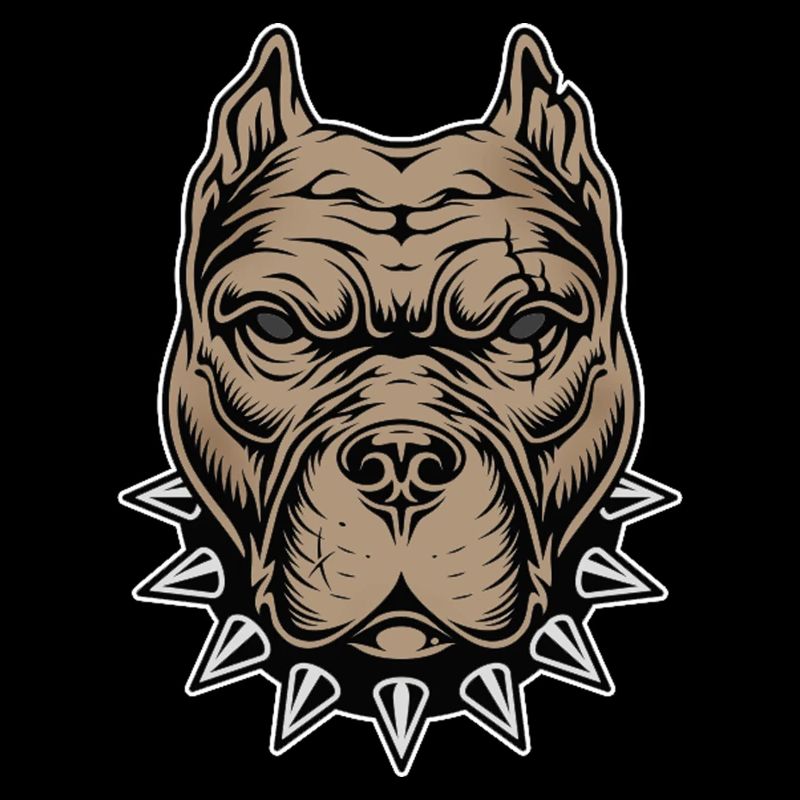 Aggressive dog