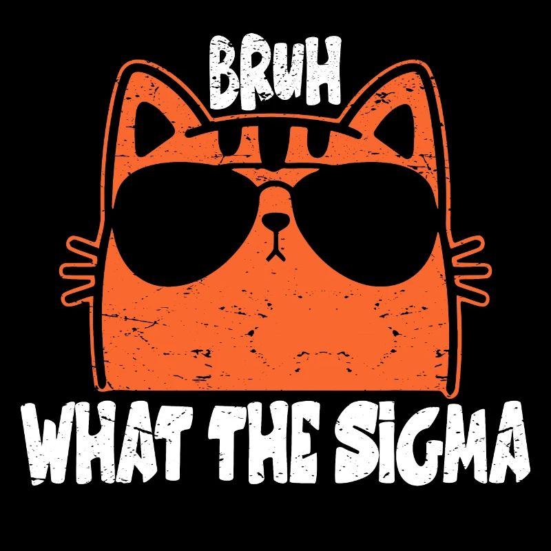 Bruh what the sigma ?