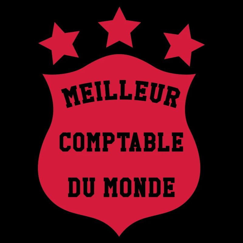 comptable / comptabilité / argent / Finance / Euro