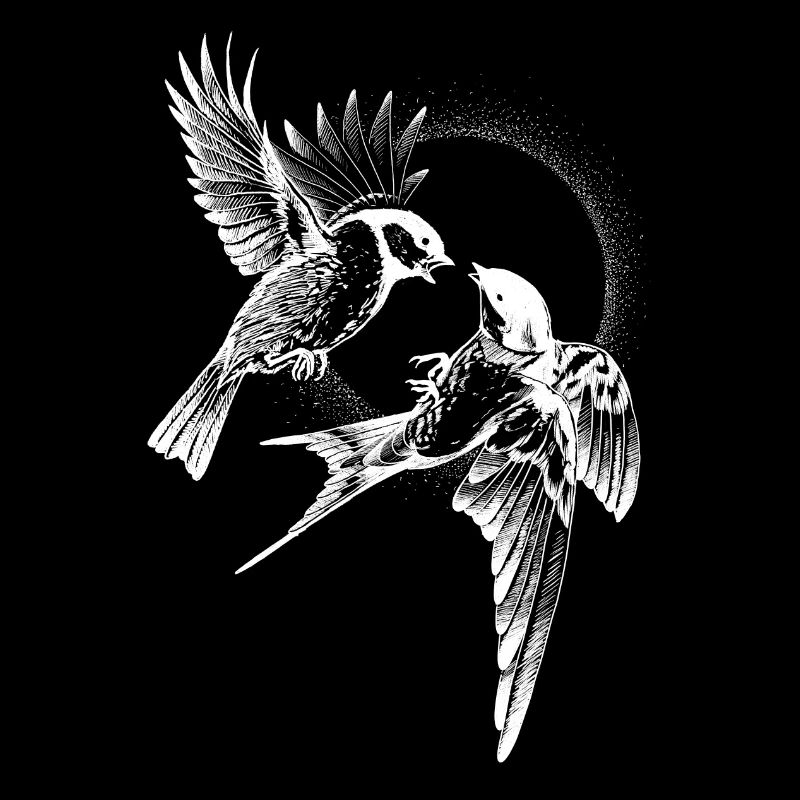 Inversion de combat d’oiseaux