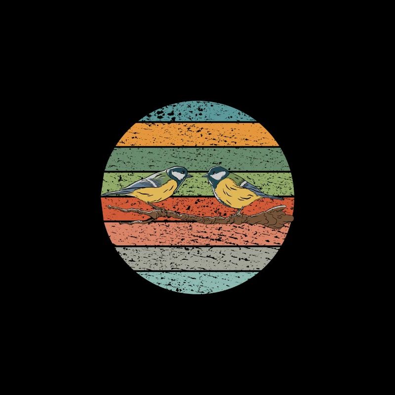 Oiseaux Observation des oiseaux