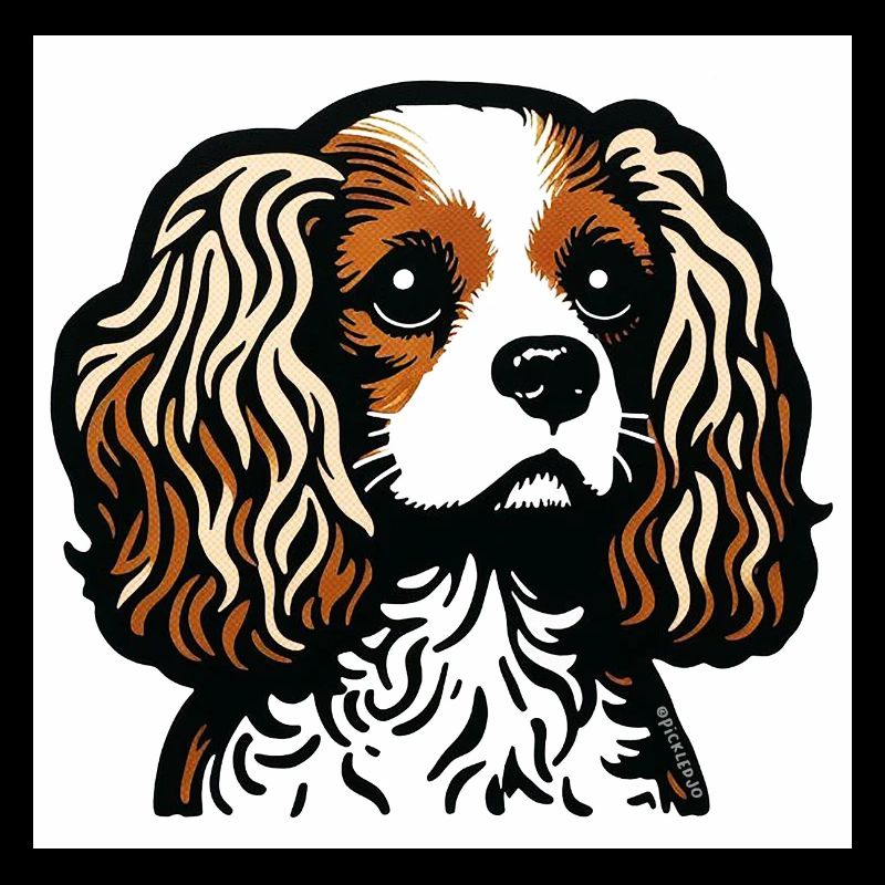 König Charles Spaniel - Blenheim