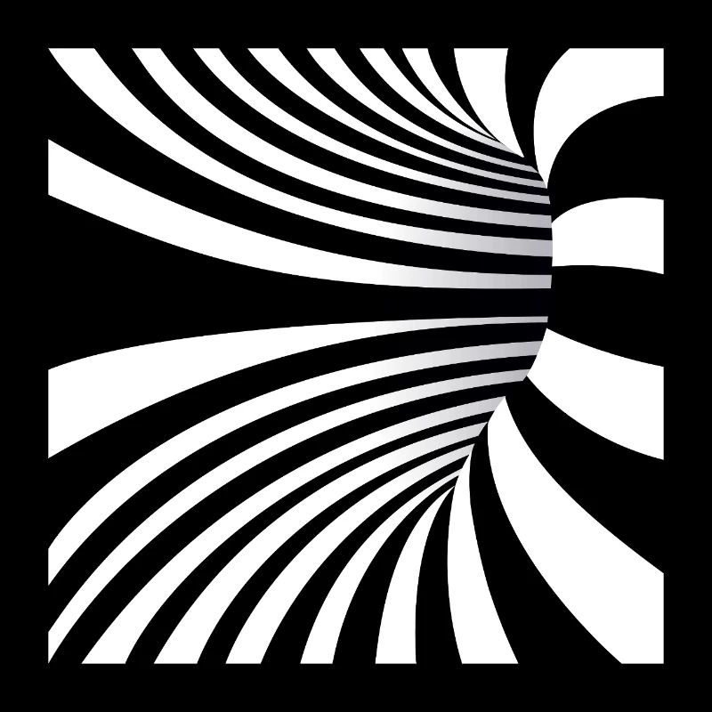 Hypnotic Black and White Art