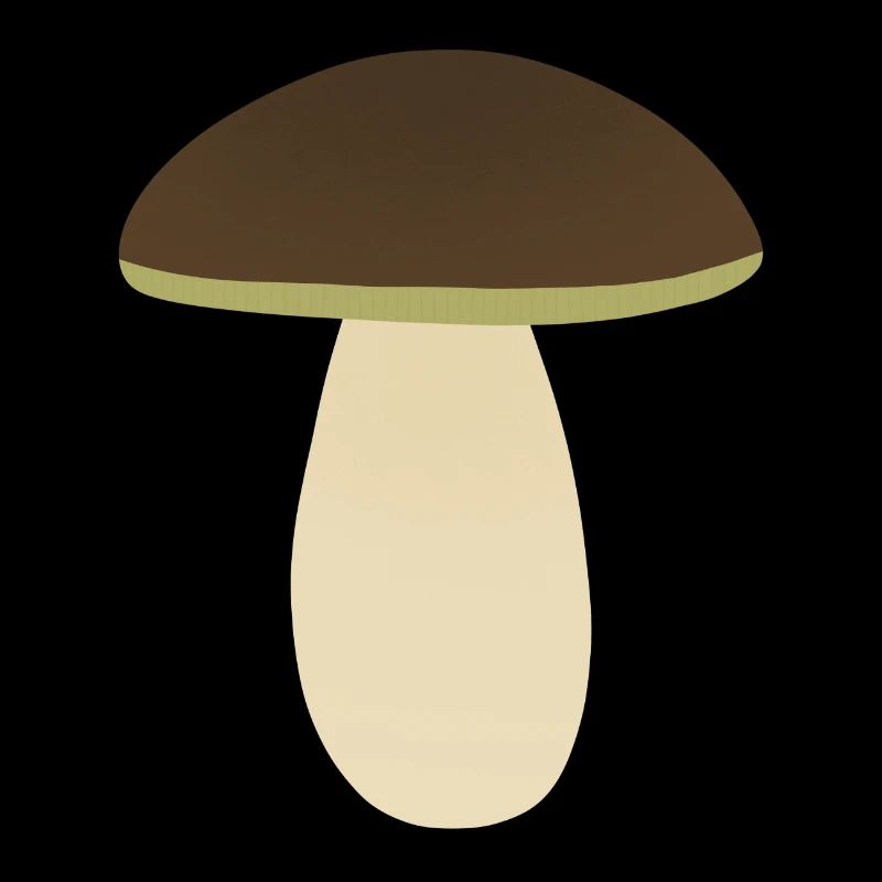 Cèpes