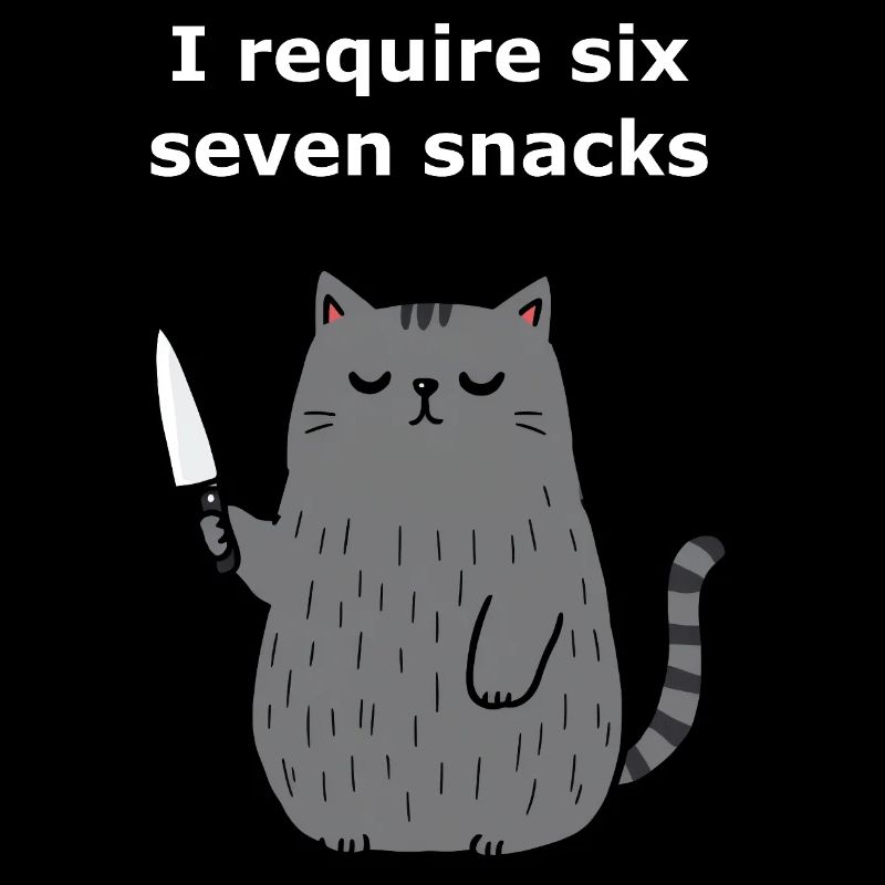 6-7 Internet Meme 6 7 Snack Cat