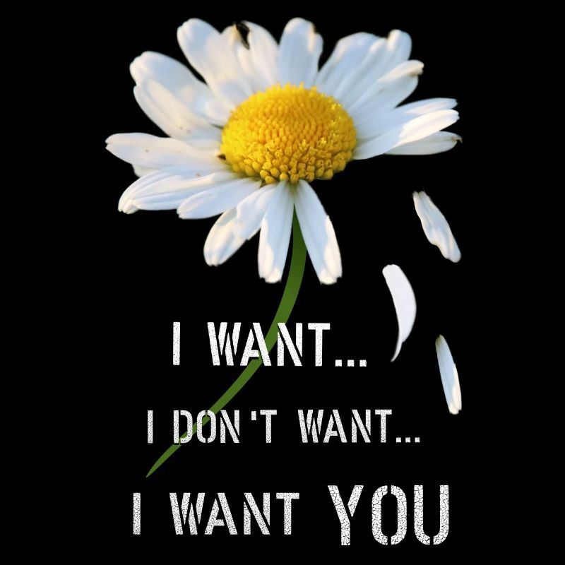 Ich will ich will nicht ich will dich