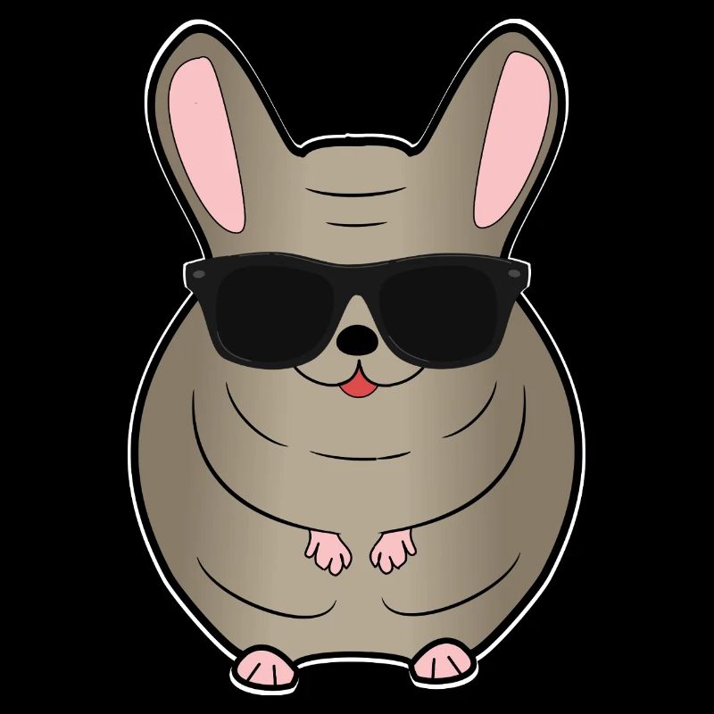 Chinchilla