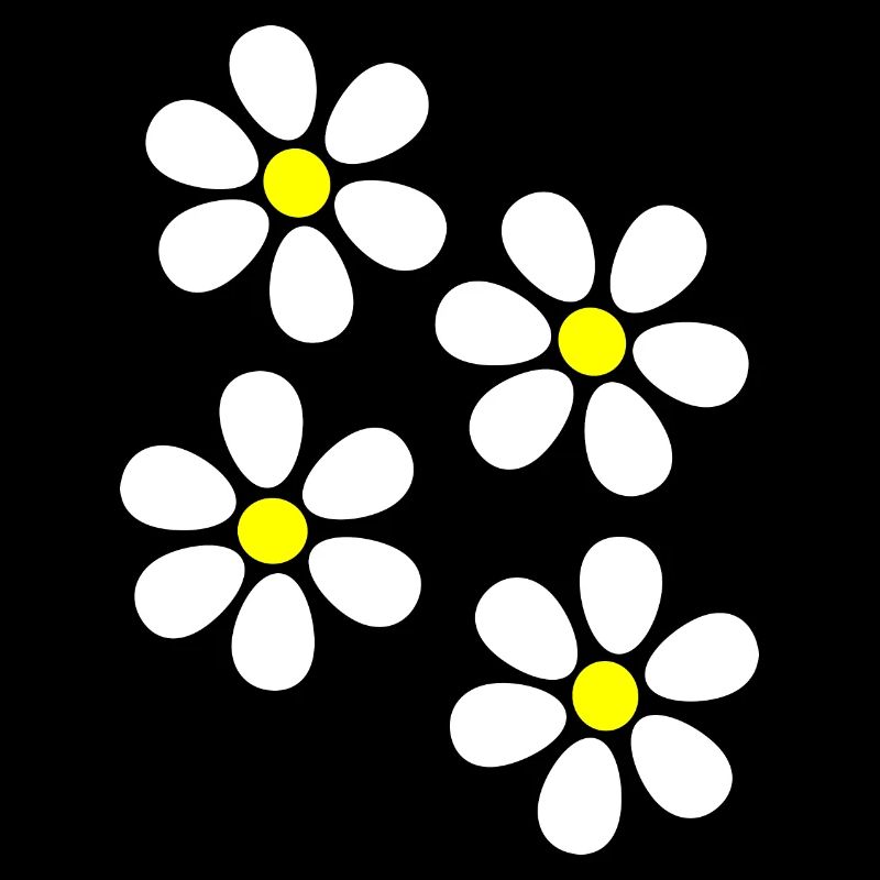 Fleur Fleur Blanche Fleur Blanche Fleurs Cadeau Noël