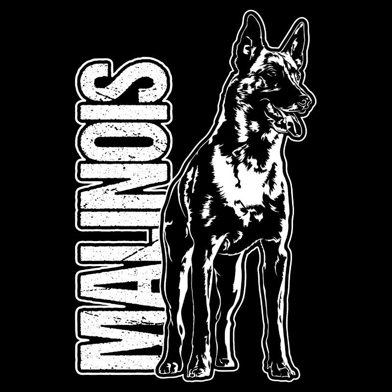 MALINOIS Portrait Chien Chien Wilsigns