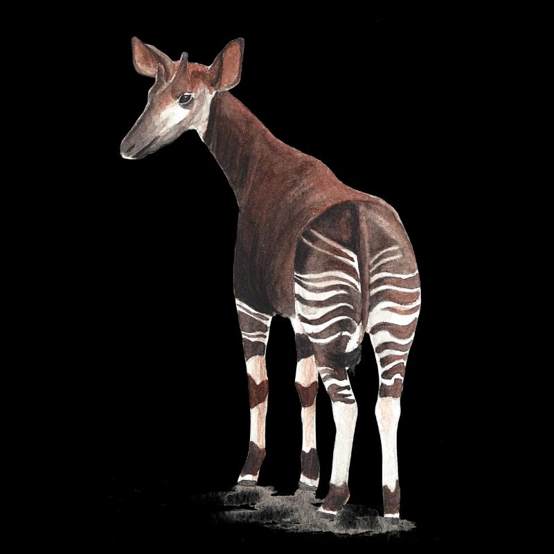 Okapi