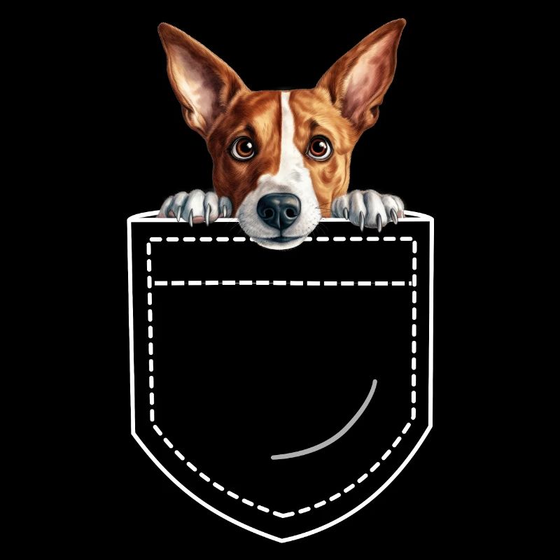 Hund Basenji