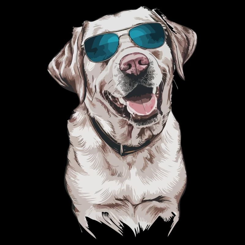 Labrador avec lunettes de soleil