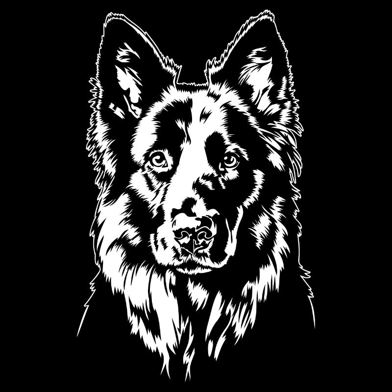 Deutscher Schwarzer Schäferhund Portrait Wilsigns