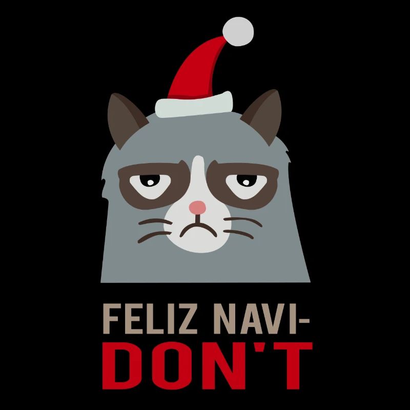 Feliz Navi DON'T / Weihnachtslied