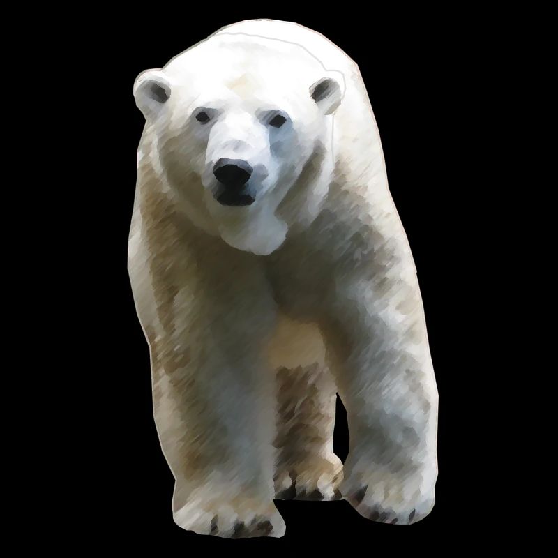 Polar Bear - Eisbär