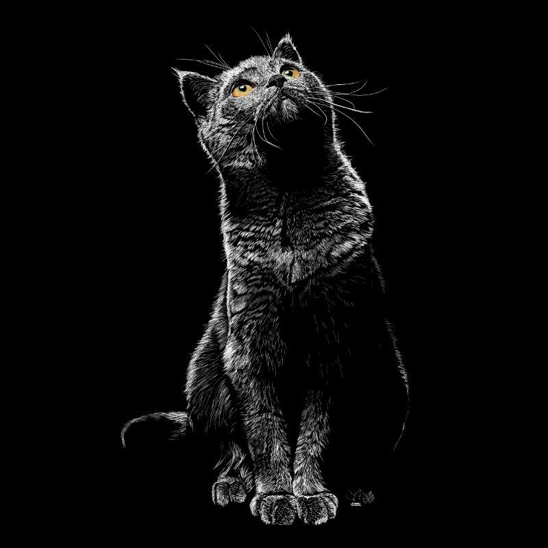 cat
