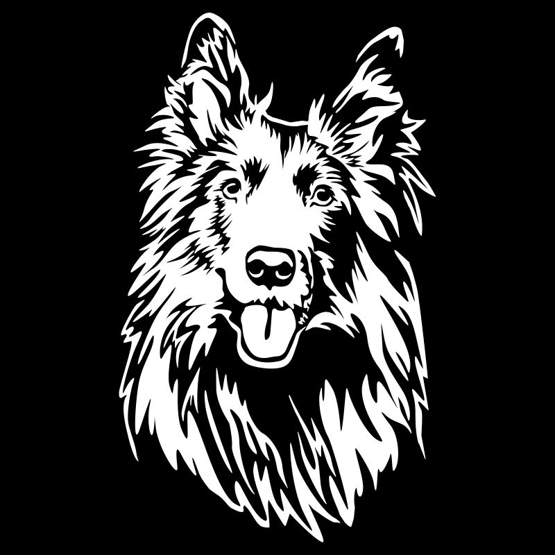 Groenendael head "Black Edition"