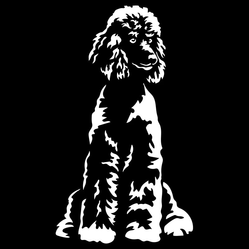 Poodle "Black Edition"
