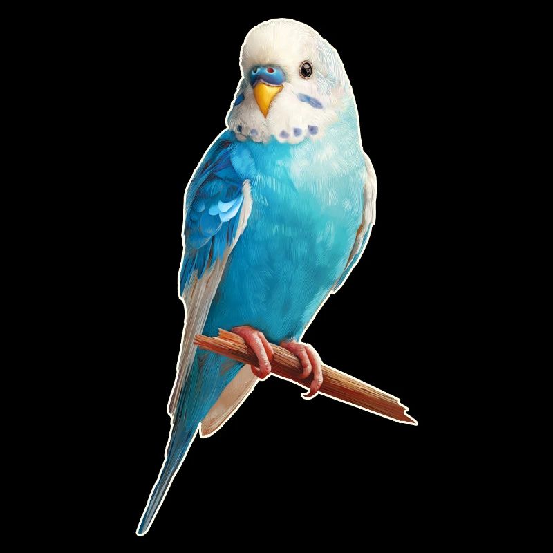 Budgerigar
