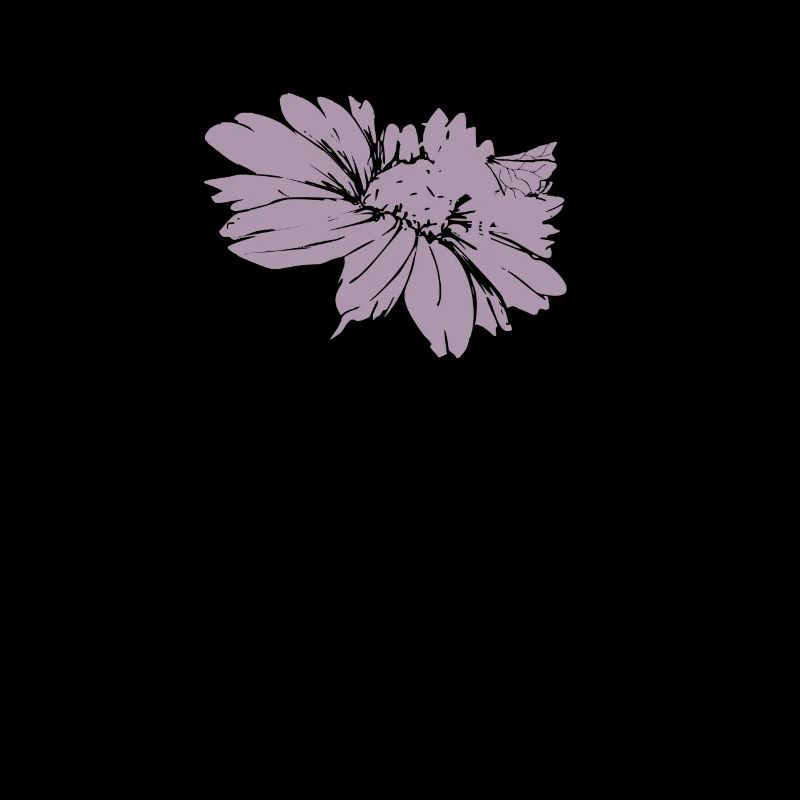 Bee Blossom Honey Bee Chamomile Daisies