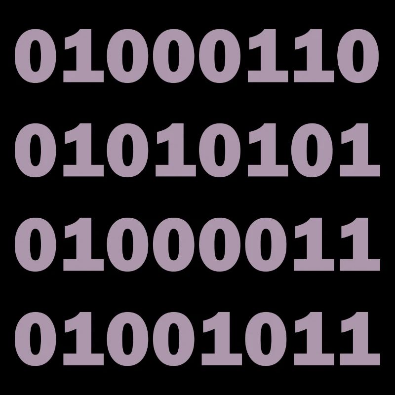 Code binaire Fuck