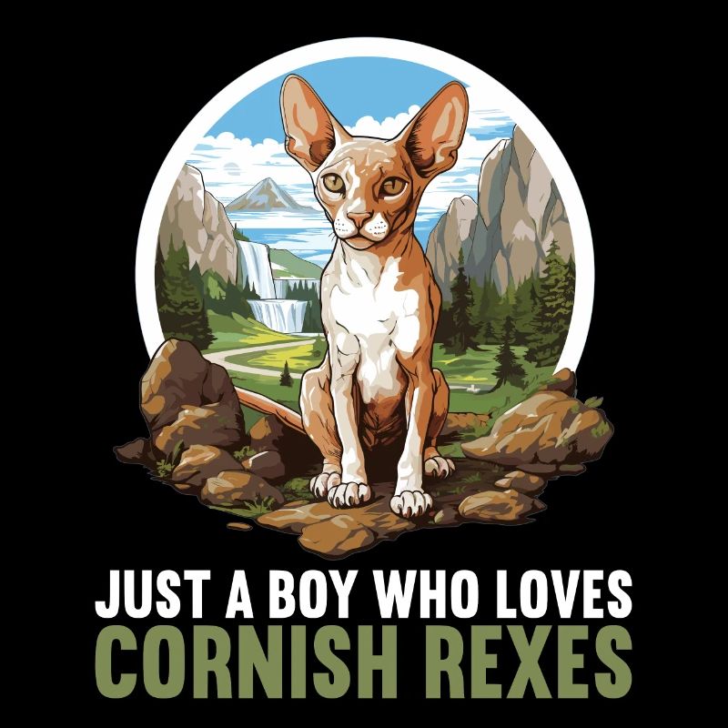 Chaton Cornish Rex Chat Cornish Rex