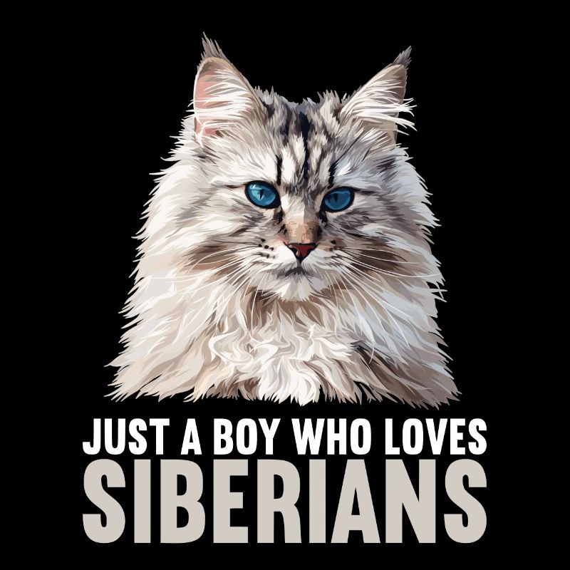 Siberian Cat Sibirische Katze