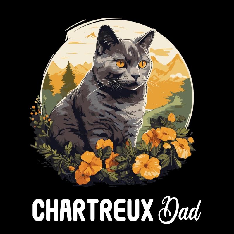 Chat Chartreux Chat Chartreux