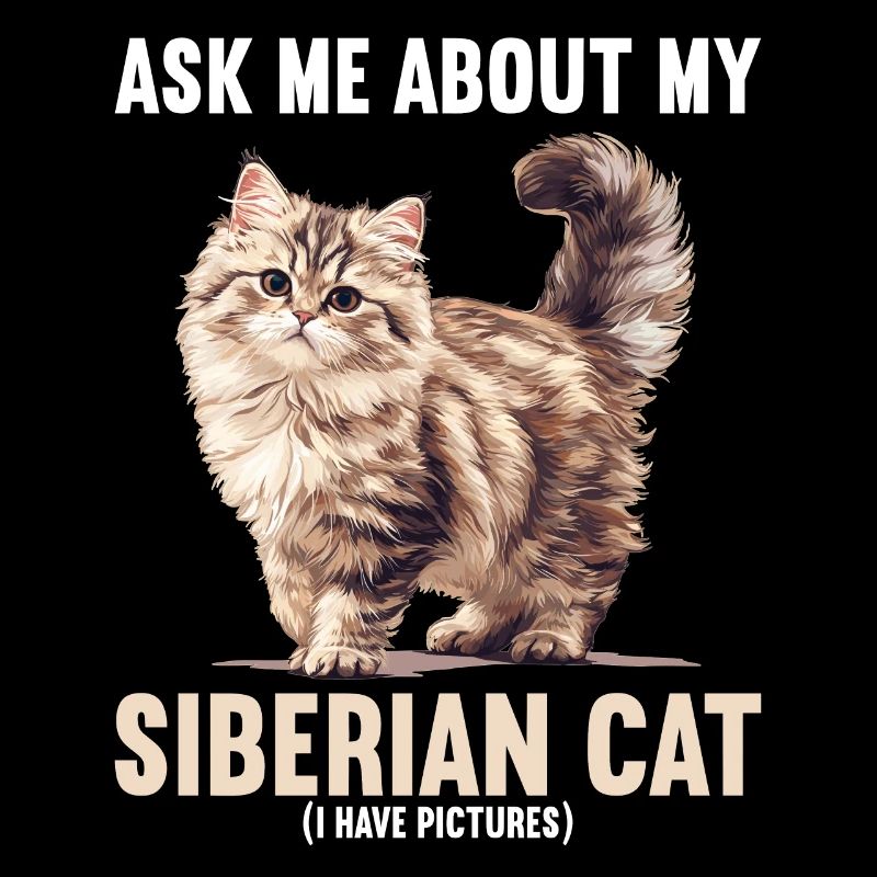 Chat Sibérien Sibirische Katze