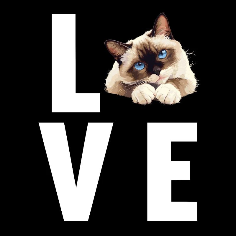 Snowshoe Kitten Snowshoe Cat