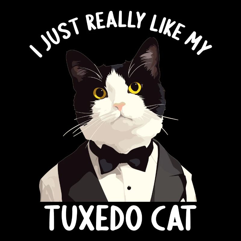 Tuxedo Kätzchen Tuxedo Katze