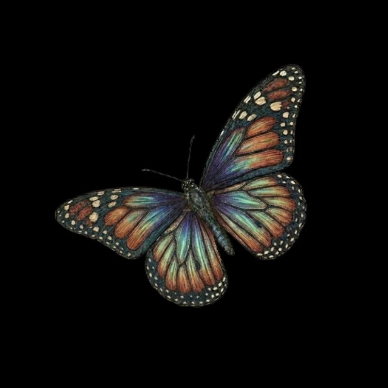 Schmetterling