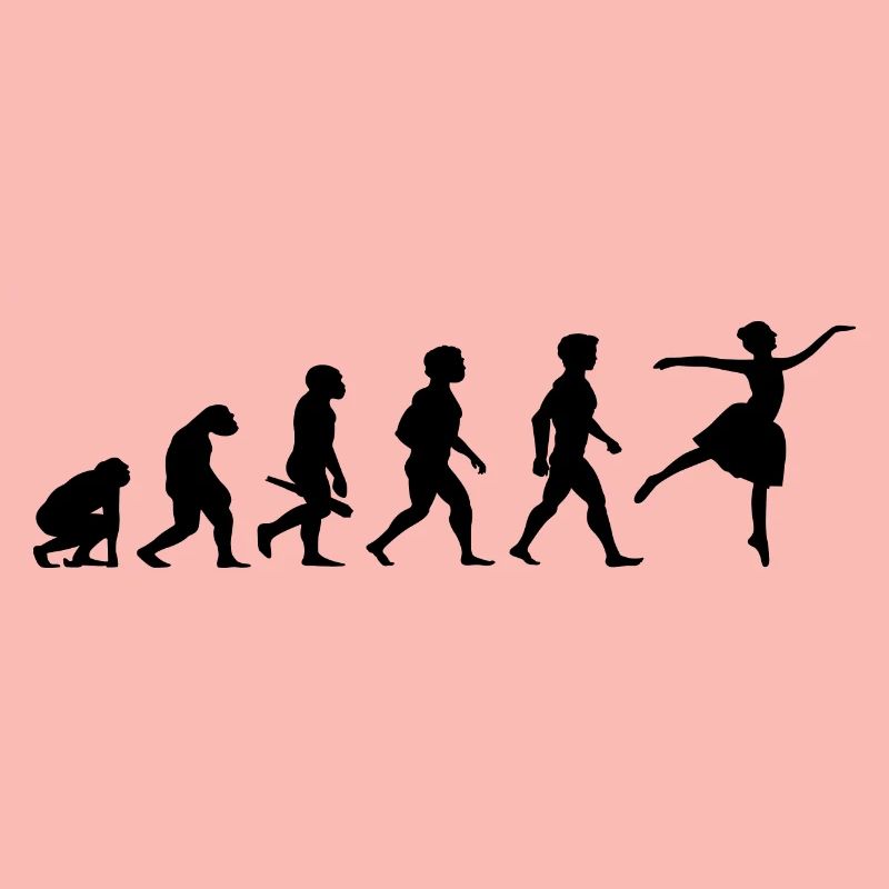 Evolution Ballerina Ballet Danse Danseuse Danse