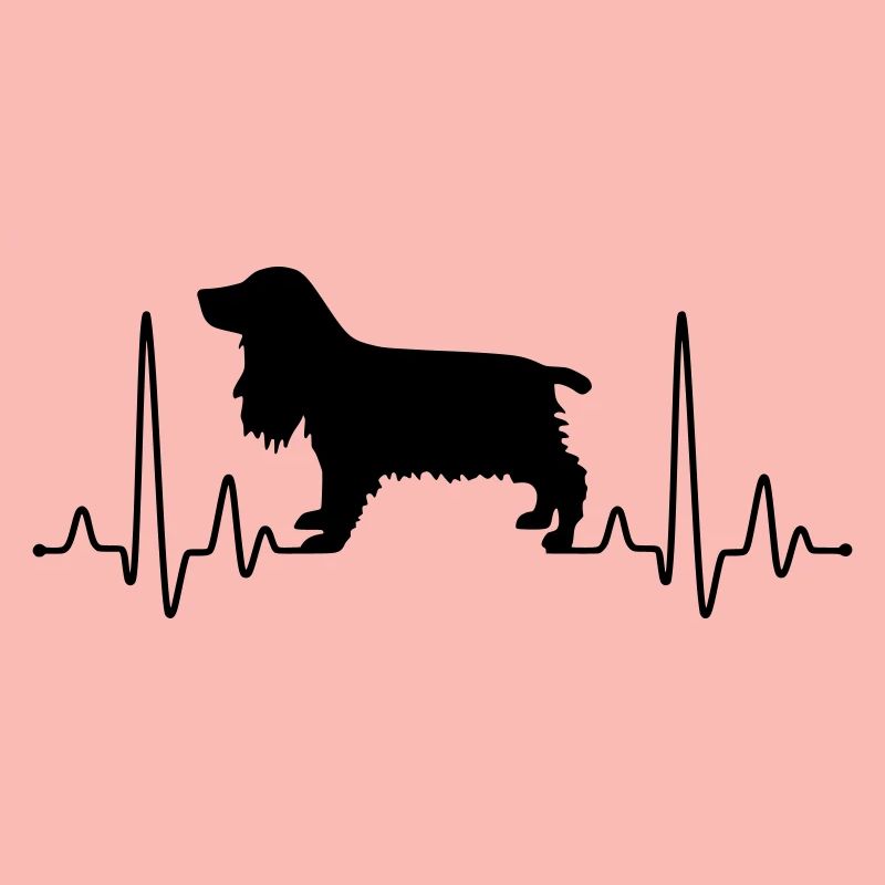 Cocker Spaniel Plus