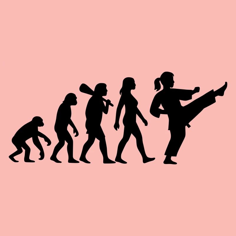 Karaté Évolution