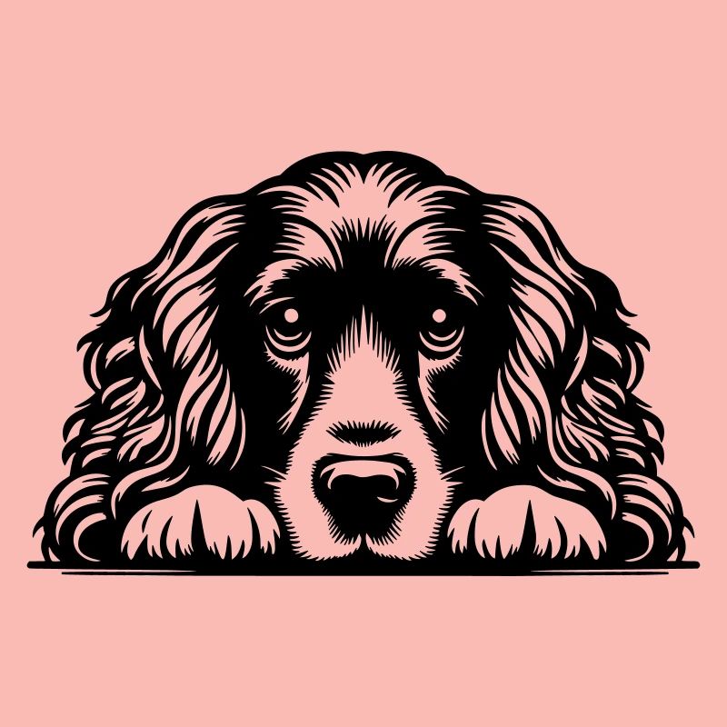 Tête de cocker avec pattes