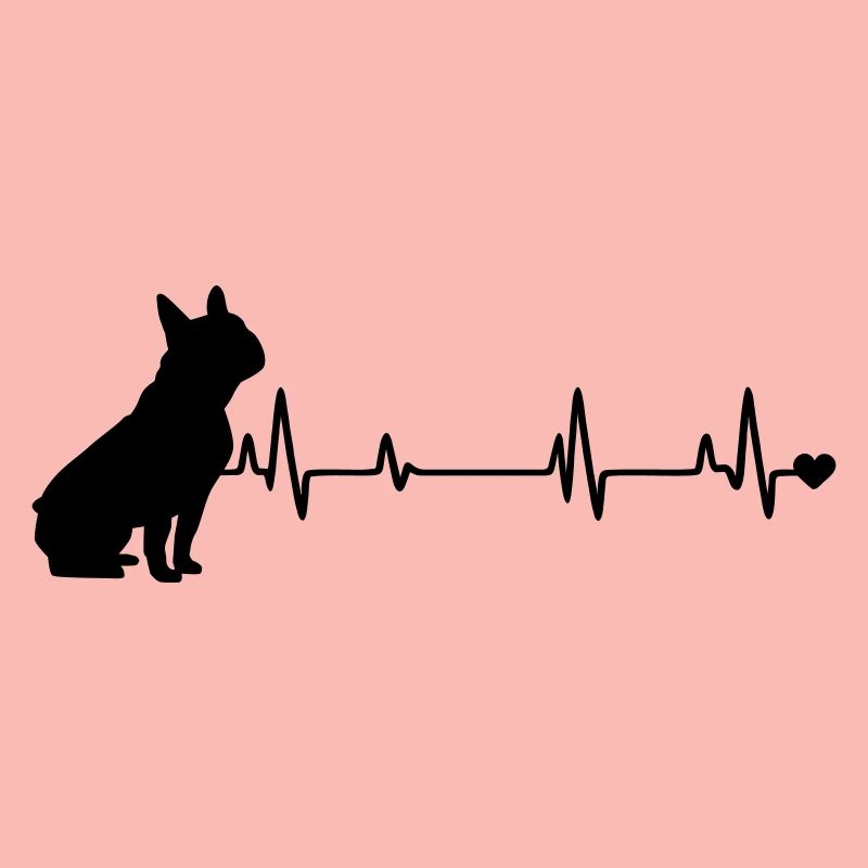 Chien