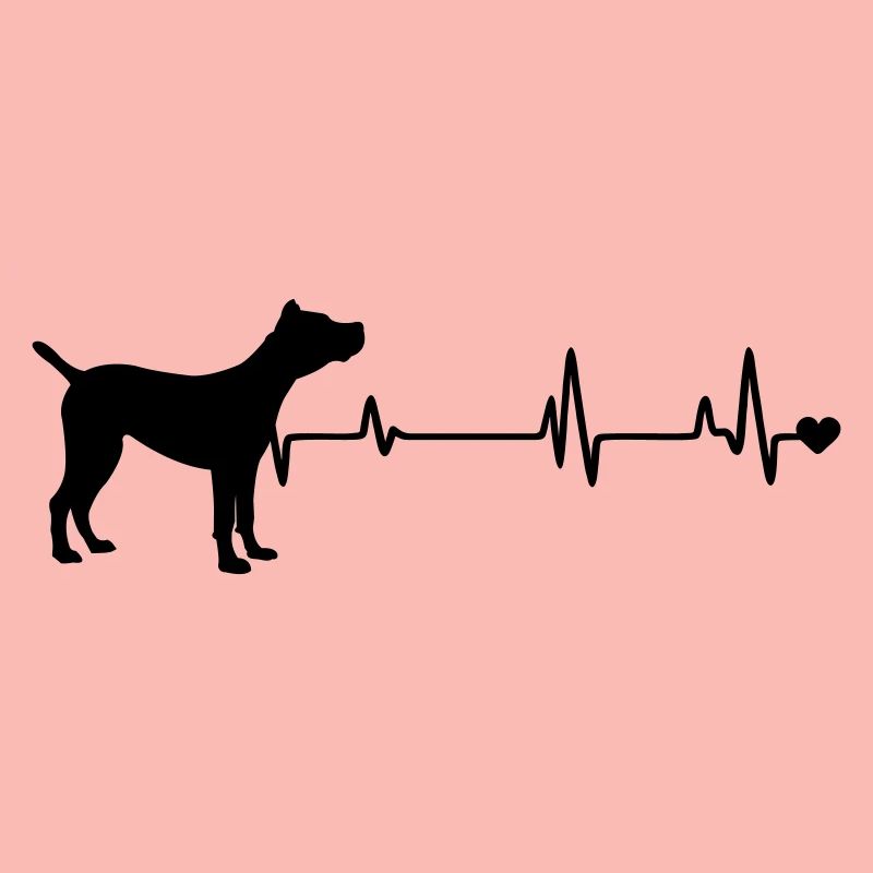Chien