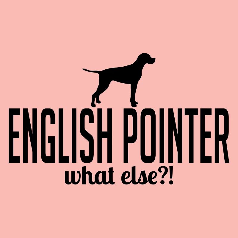 ENGLISH POINTER what else