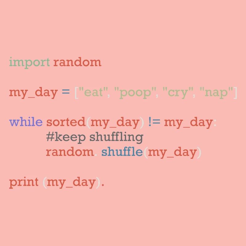 Funny python code about everyday life, baby