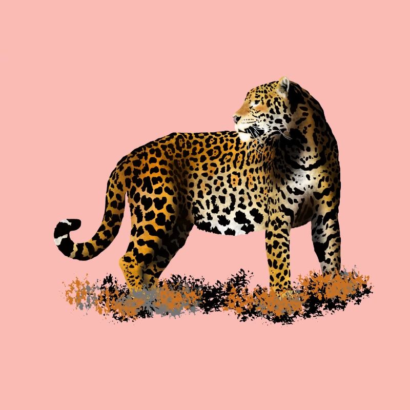 leopard