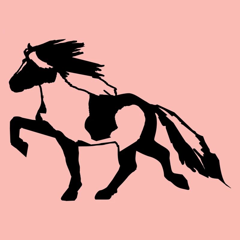 Islandpferd Schecke 7, Pinto reiten Isländer