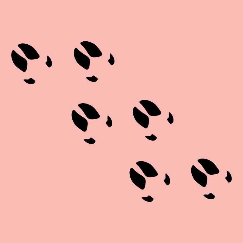 schwein
