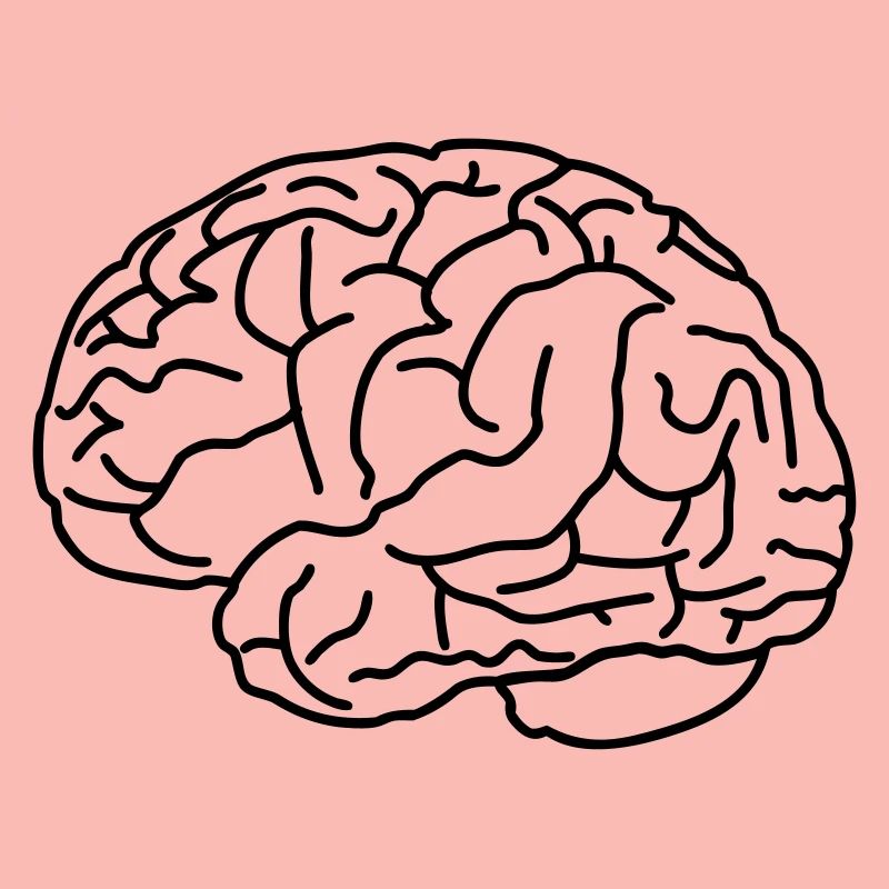 Brain