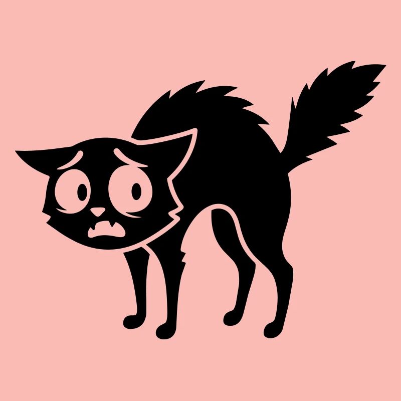Chat effrayé