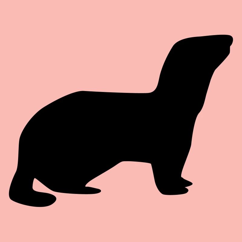 Furet